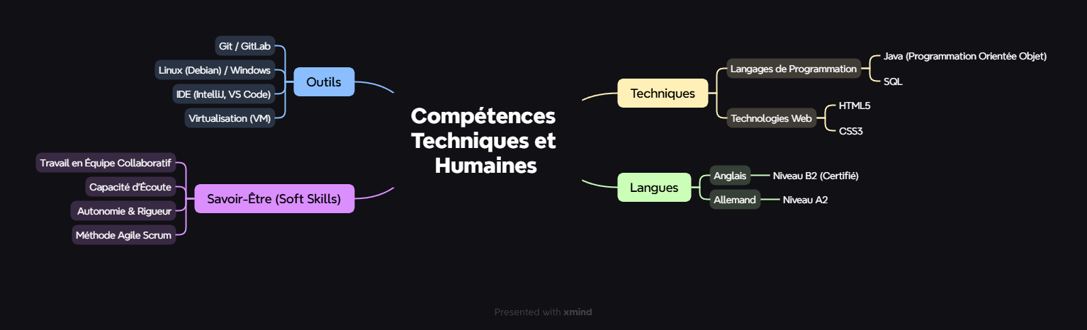 Carte mentale des compétences